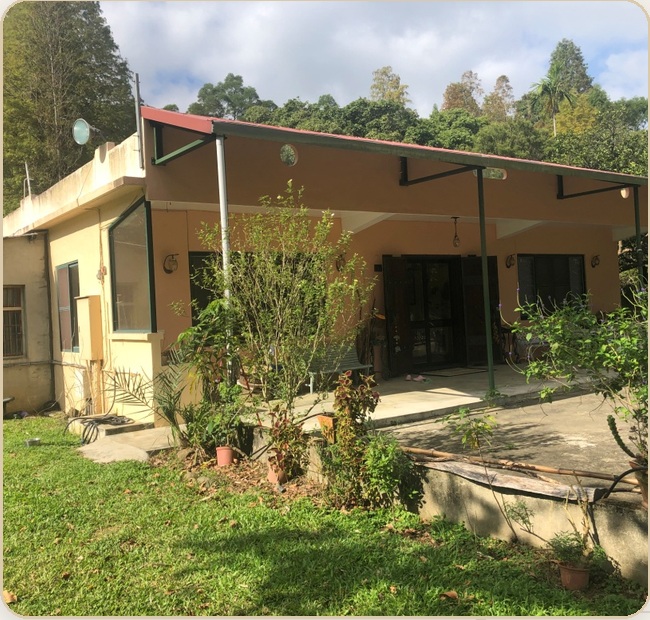 五餅二魚｜真實建築現場